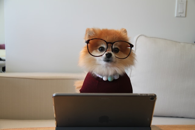 Default Dog Image