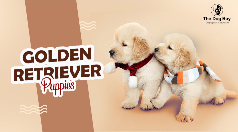 Banner Slide 2